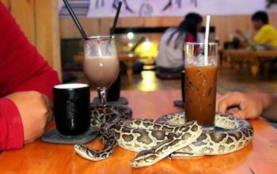 Phu Nhuan's Cafe Babo, Сайгон, В'єтнам.